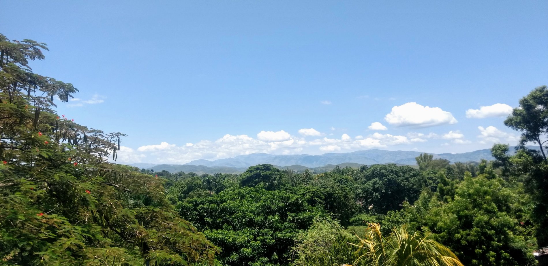 header-image
